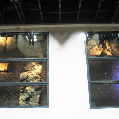 Γυάλινα πατώματα Art of Glass Πάσχος